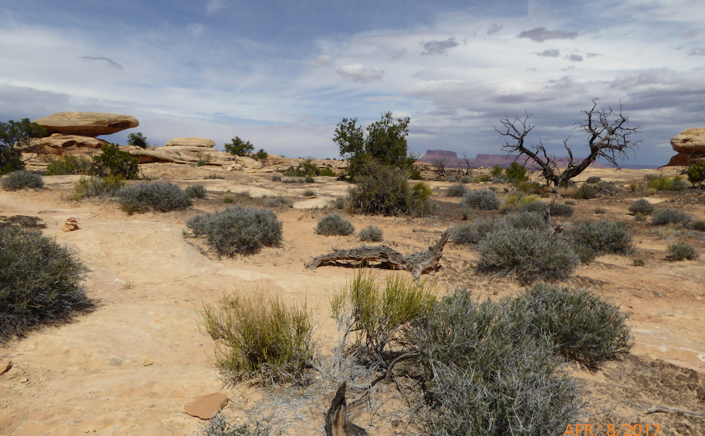 desert_trail